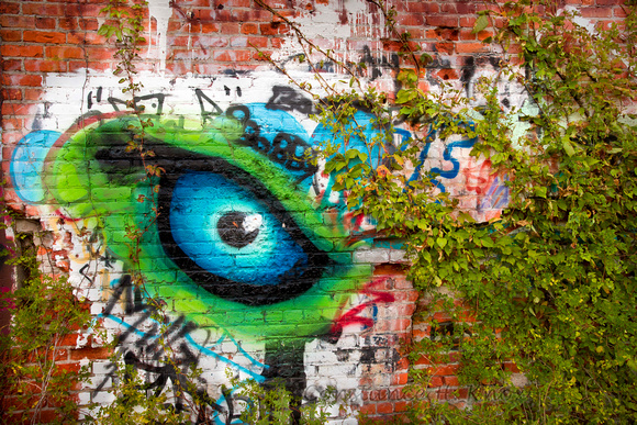 This Wall is Watching You!